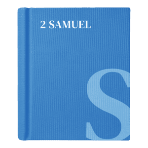 2 Samuel